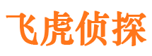 拉孜市调查公司